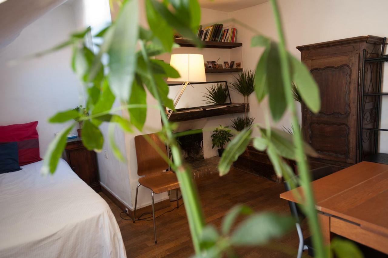Rose St Germain Des Pres Apartment Paris